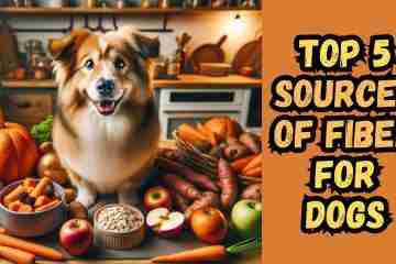 fiber-enriched-dog-foods